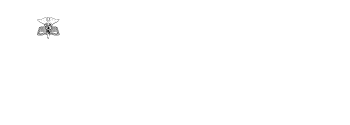 Boletín Informativo